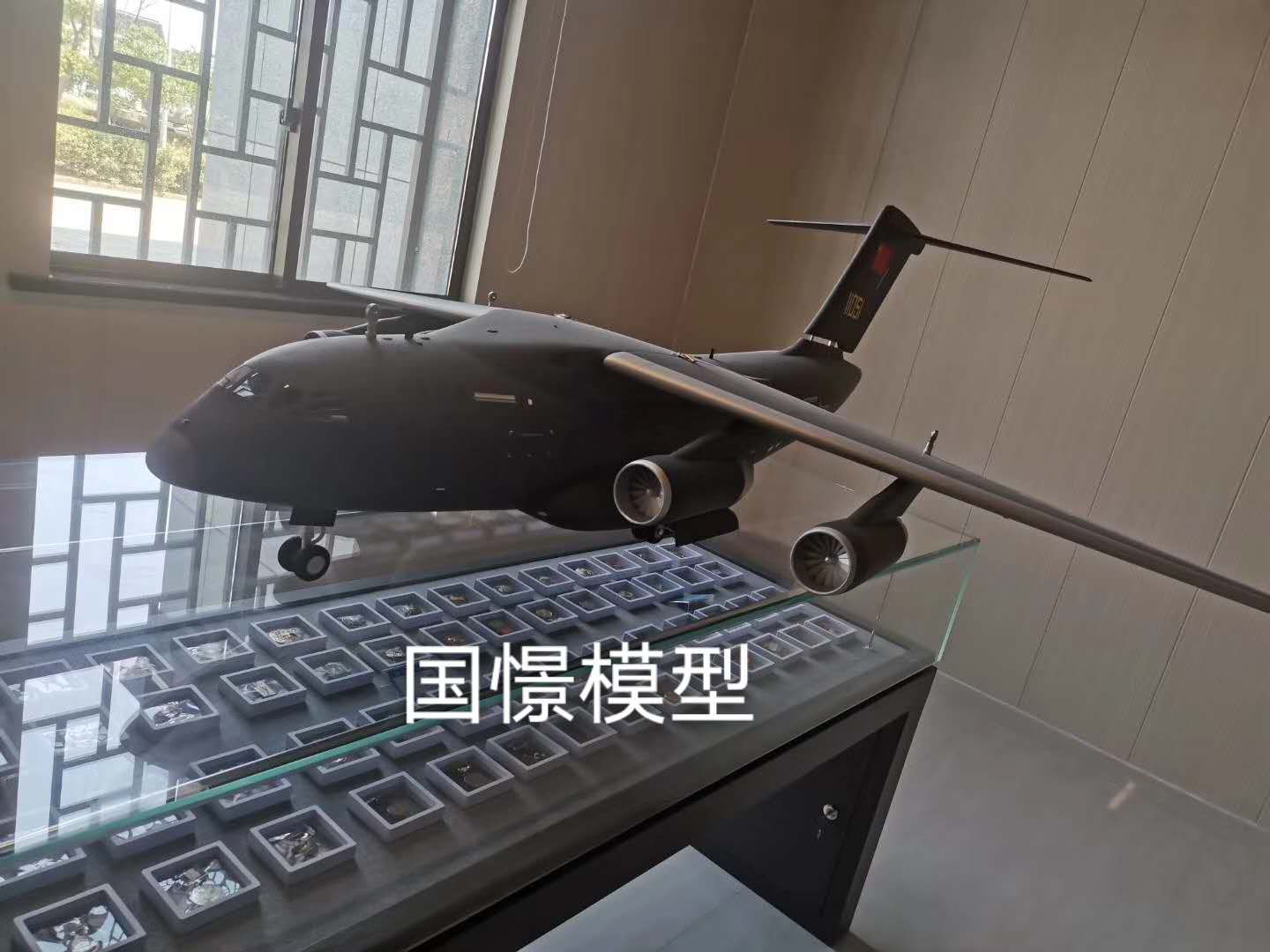 武宣县飞机模型