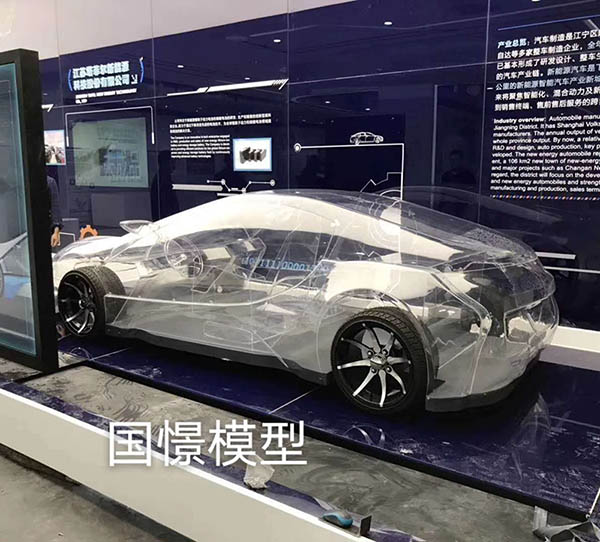 武宣县透明车模型