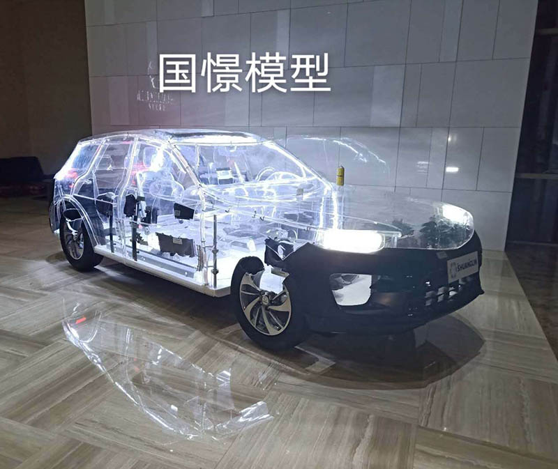 武宣县透明车模型